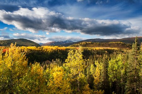 Government Hill Denali National Park Alaska
