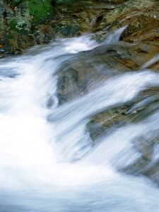 Falls in wood, the mountain river
