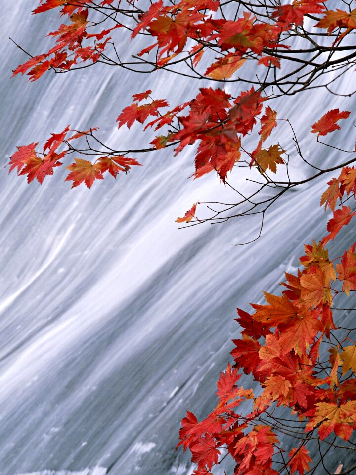 Waterfall in the autumn