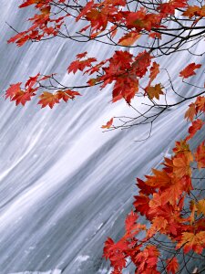 Waterfall in the autumn photo