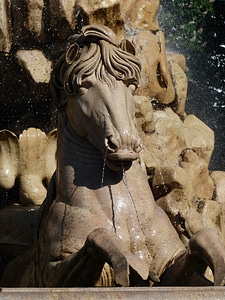 Ross horse water feature