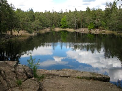 Pond surrounded by trees, which are mirrored on the surface photo