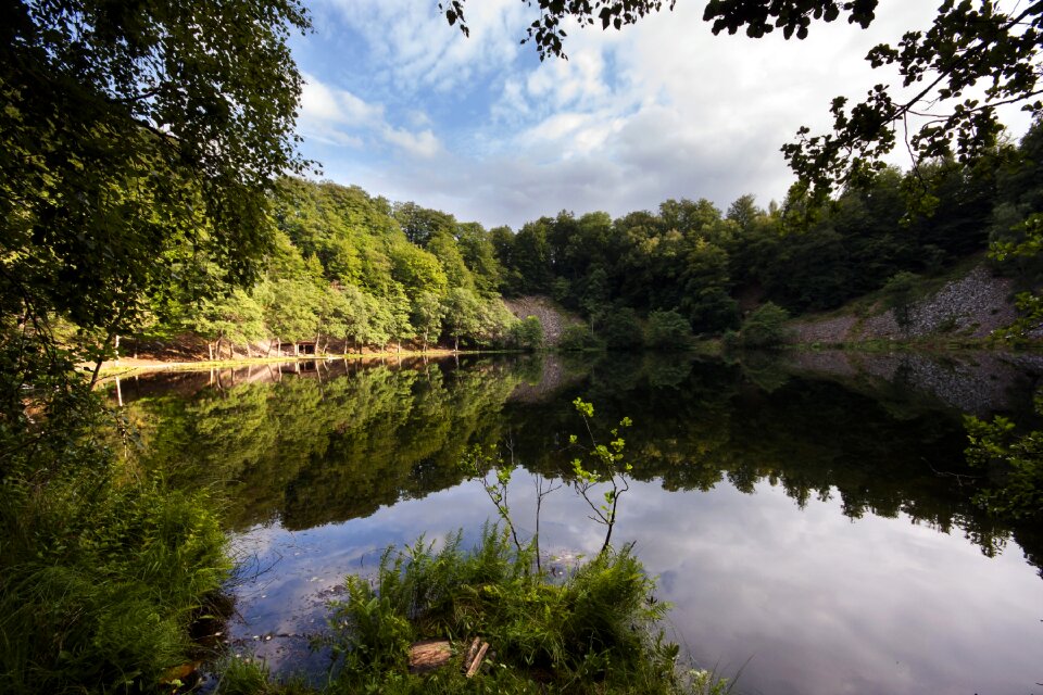 Landscape with trees, reflecting in the water