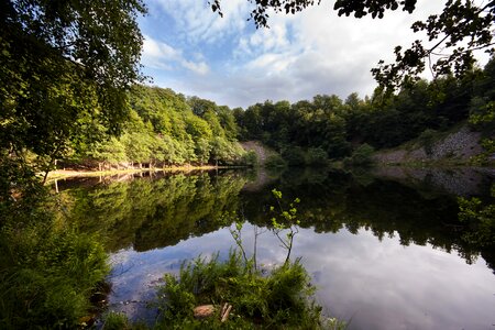 Landscape with trees, reflecting in the water