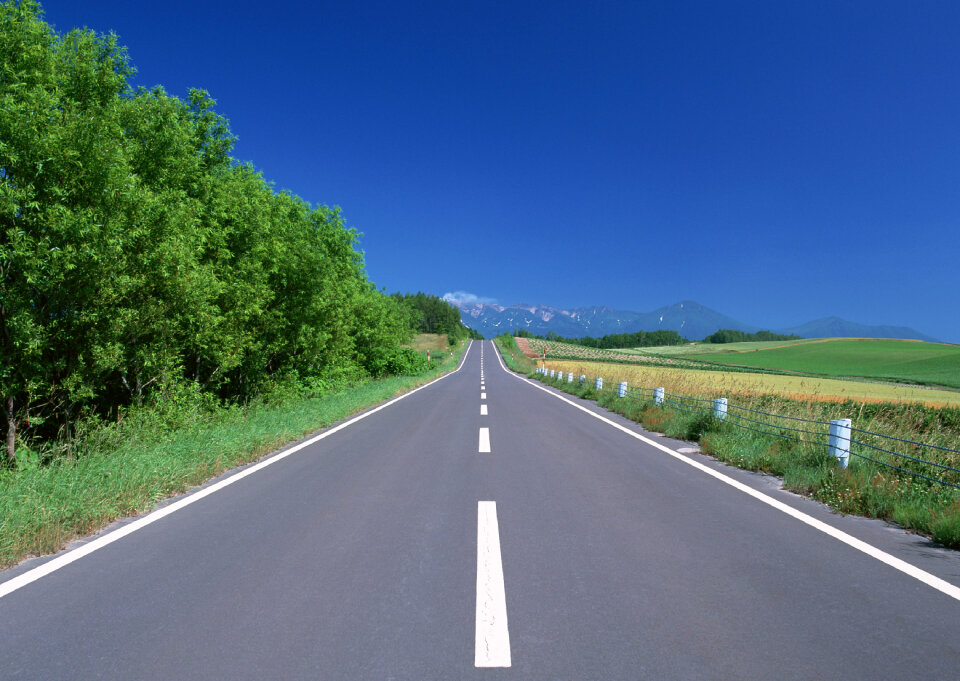 beautiful road with green trees, Japan