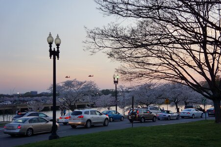 Downtown Washington, D.C. Night Tour