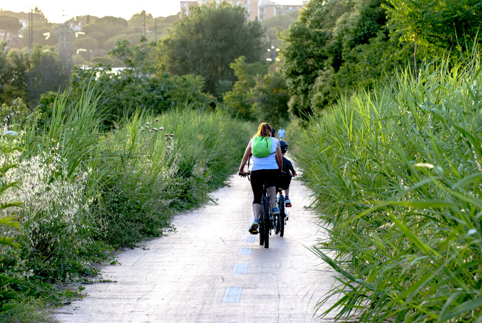 The family in the park on bicycles