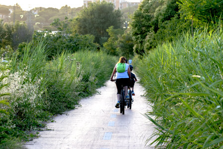 The family in the park on bicycles