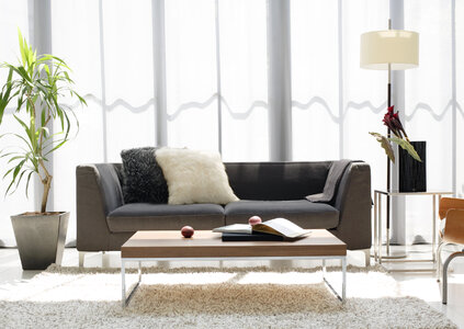 Modern living room design sofa lamp and tree photo