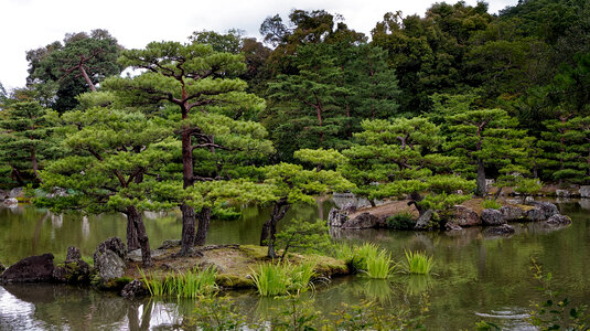 Japanese Garden, Kyoto photo