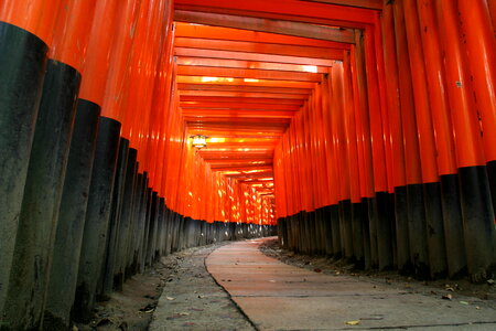 Fushimi Inari Shrine in Kyoto, Japan photo