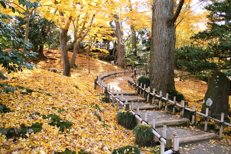 Kenrokuen Garden, Kanazawa Japan