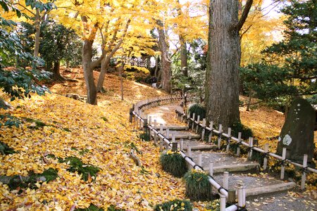 Kenrokuen Garden, Kanazawa Japan