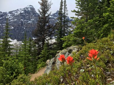 Larch Valley Trail - The Ten Peaks, Moraine Lake, Banff