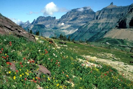 Logan Pass photo