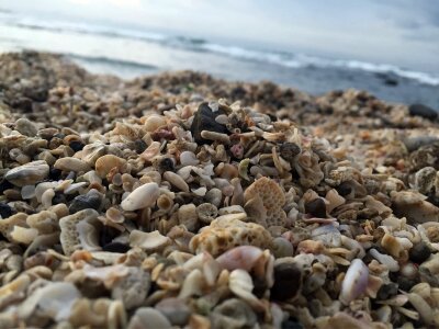 Colorful,wet beach rocks