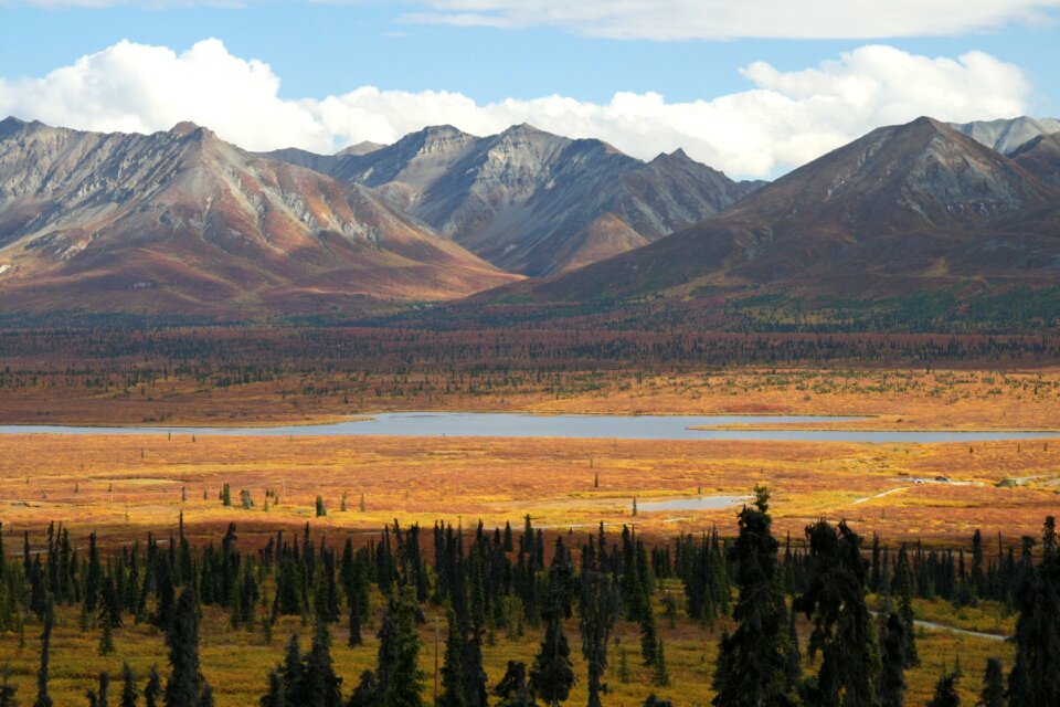 Serenity lake in tundra on Alaska