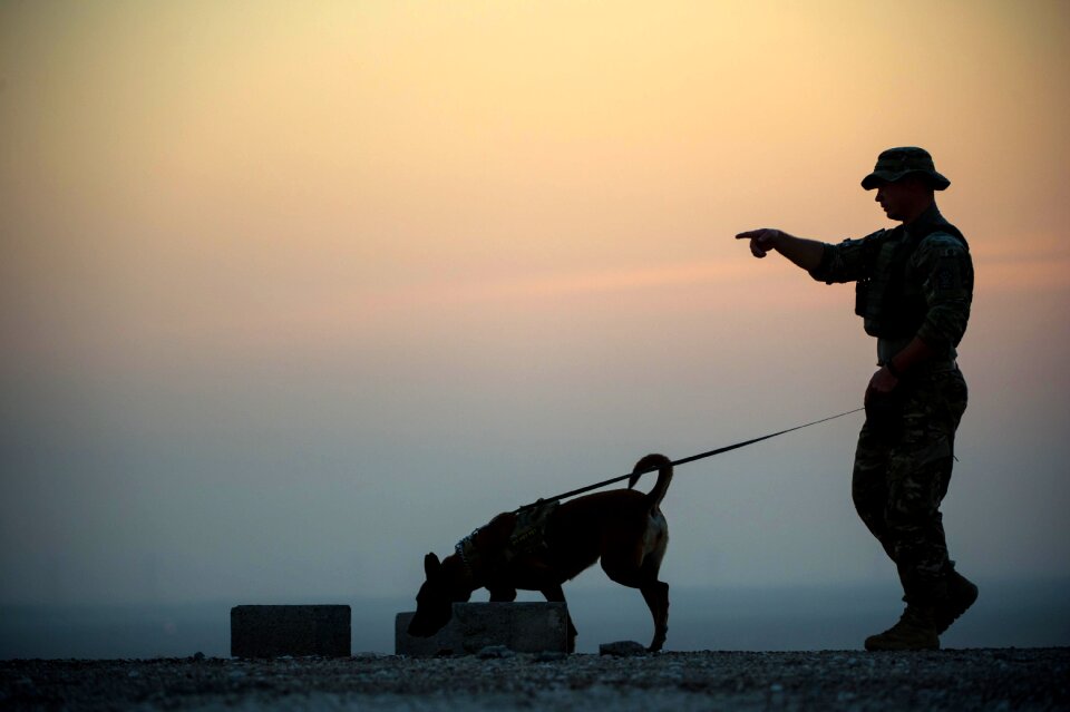 Military Working Dogs