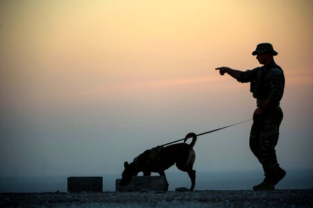 Military Working Dogs photo