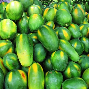 Tropical exotic heap