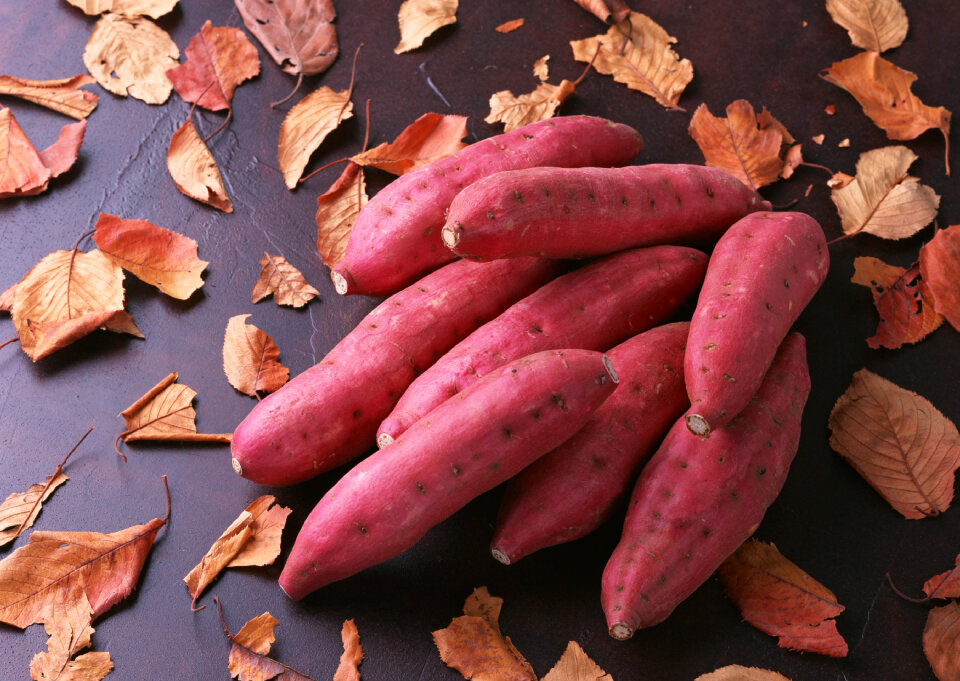 fresh organic sweet potatoes on table