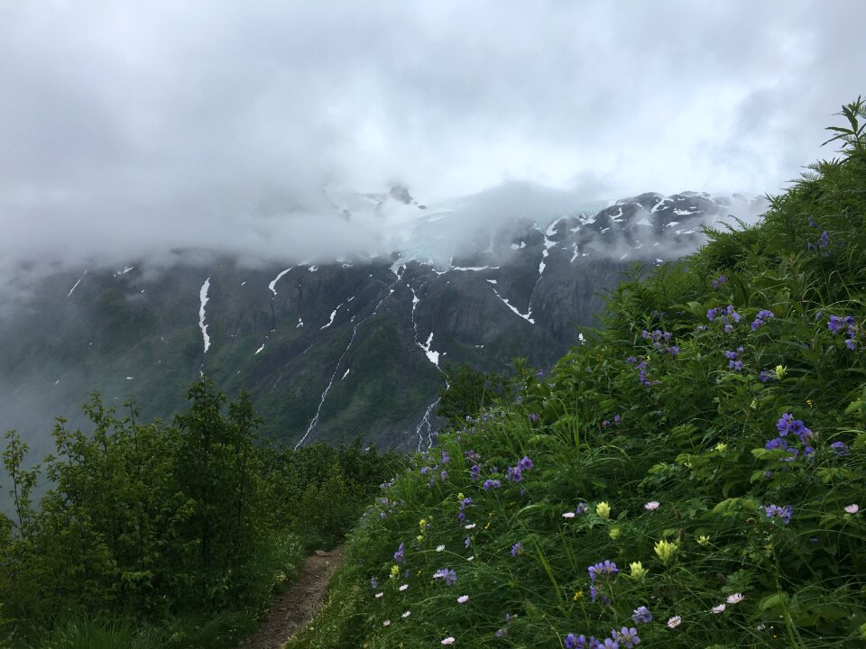 Harding Ice Field, Kenai Fjords National Park, Alaska