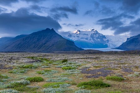 Summer landscape in Iceland