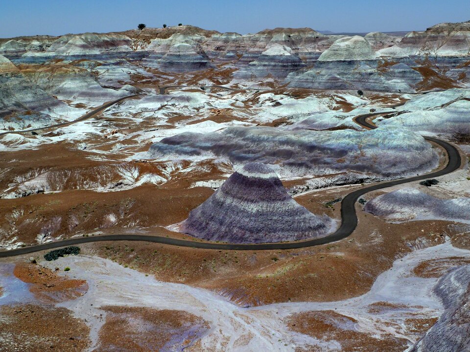 Petrified Forest National Park