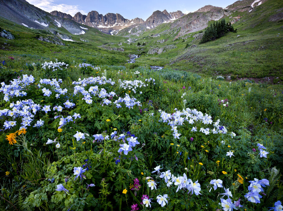 With mountains shaped by volcanic fir