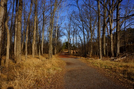 Manassas National Battlefield Park