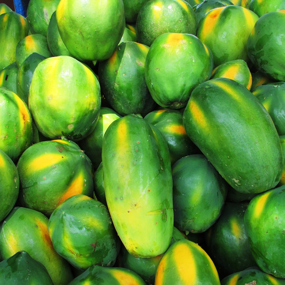 Tropical exotic heap