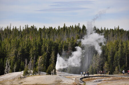 Grand Group Geyser, Upper Geyser Basin, Yellowstone