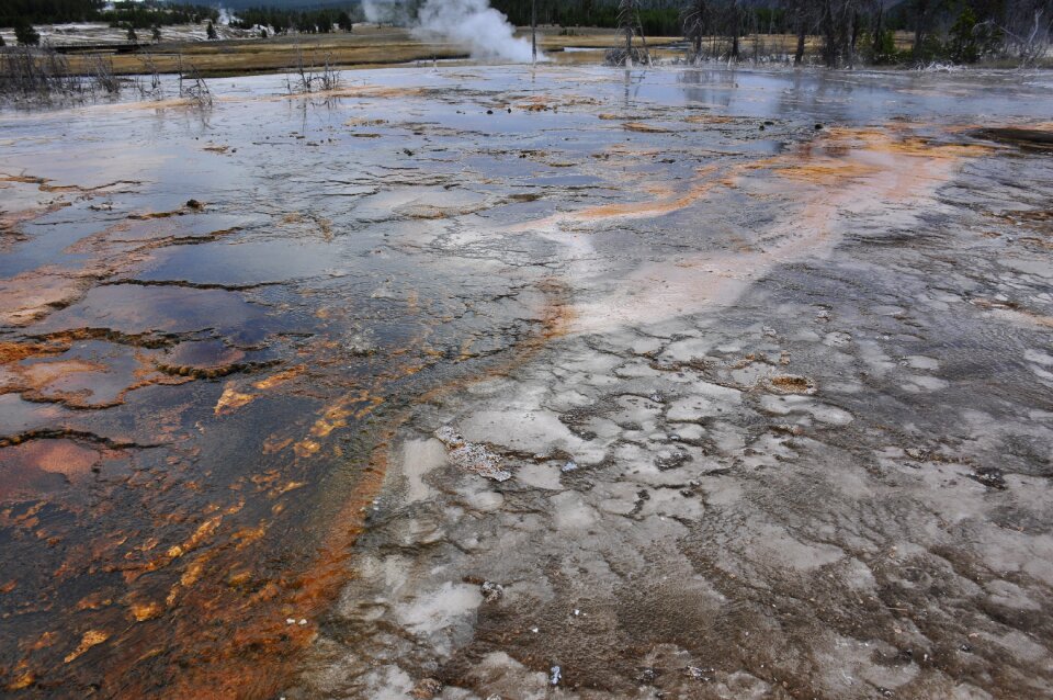 Grand Group Geyser, Upper Geyser Basin, Yellowstone