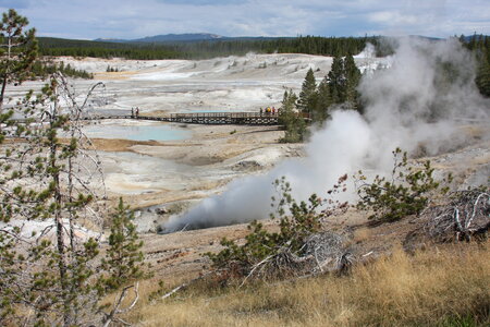 Steaming geysers Lamar Valley, Yellowstone National Park