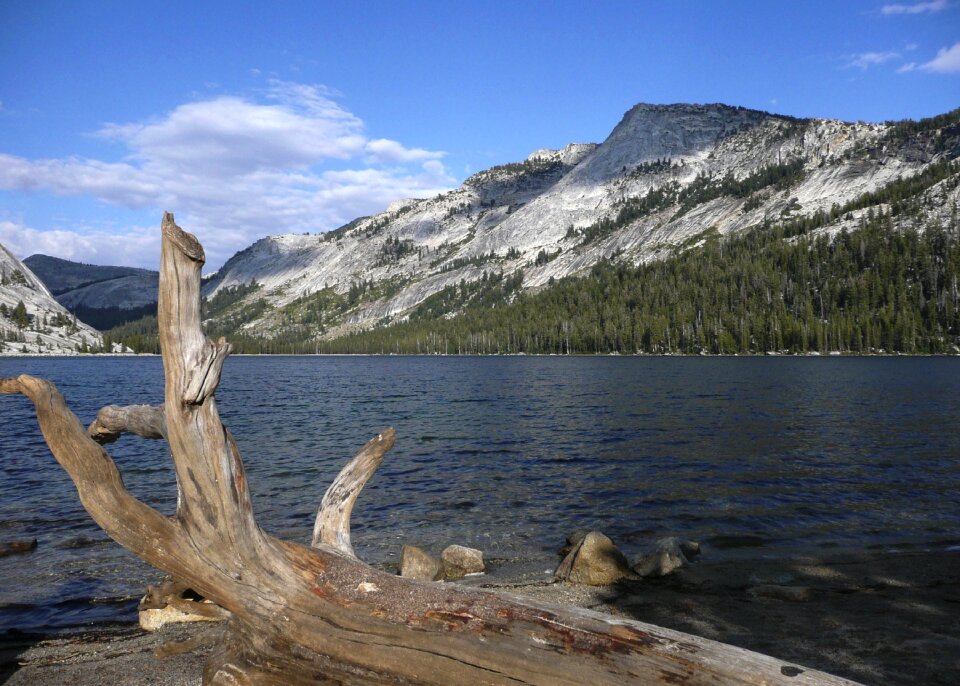 Yosemite National Park