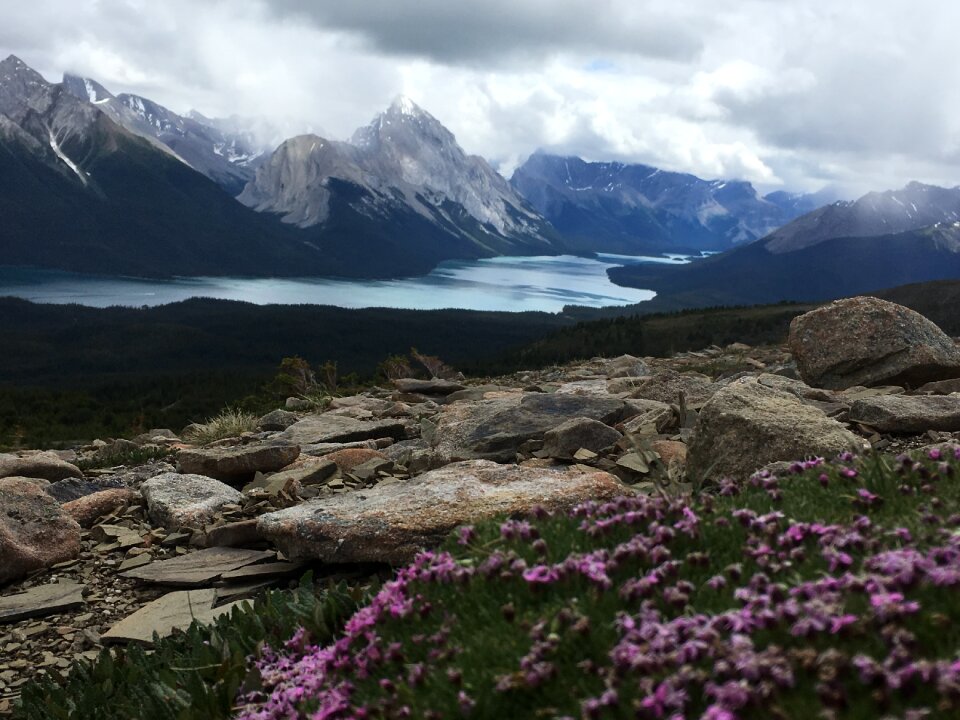 Bald Hills and Maligne Lake, Jasper National Park, Canada