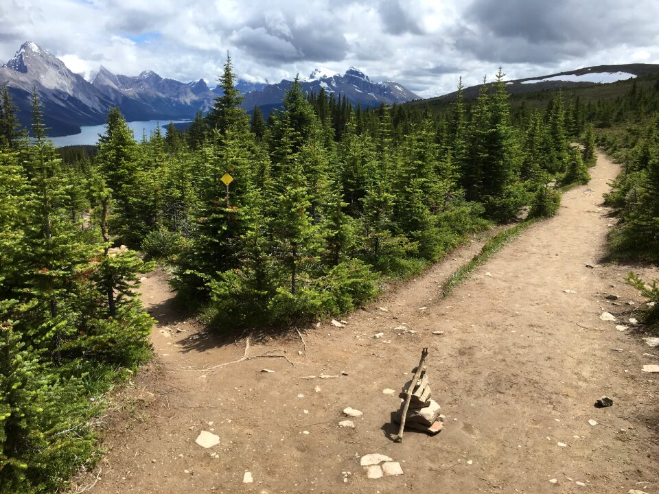 Bald Hills and Maligne Lake, Jasper National Park, Canada