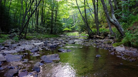 Dolly Sods Wilderness, West Virginia