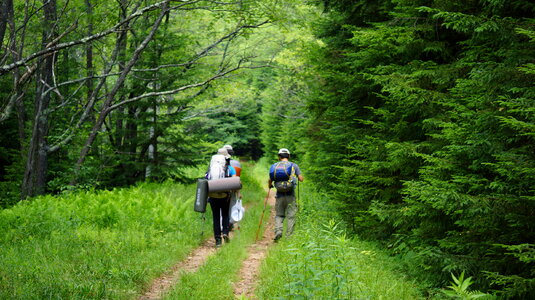 Dolly Sods Wilderness, West Virginia