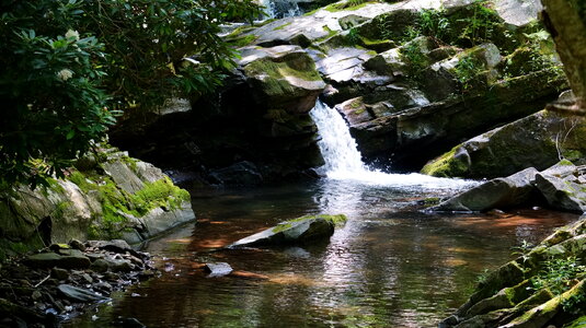 Dolly Sods Wilderness, West Virginia