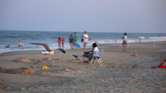 Chincoteague,Island Virginia