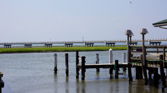 Chincoteague,Island Virginia