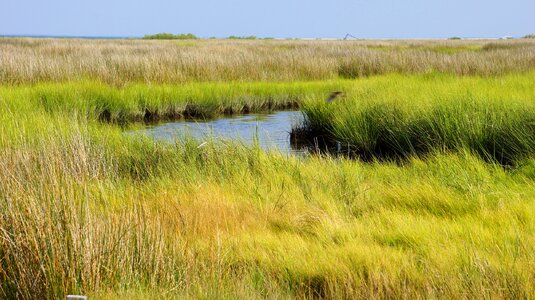 Tangier Island Virginia