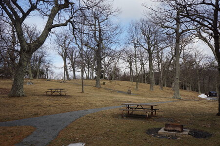 Picnic Grounds - Shenandoah National Park