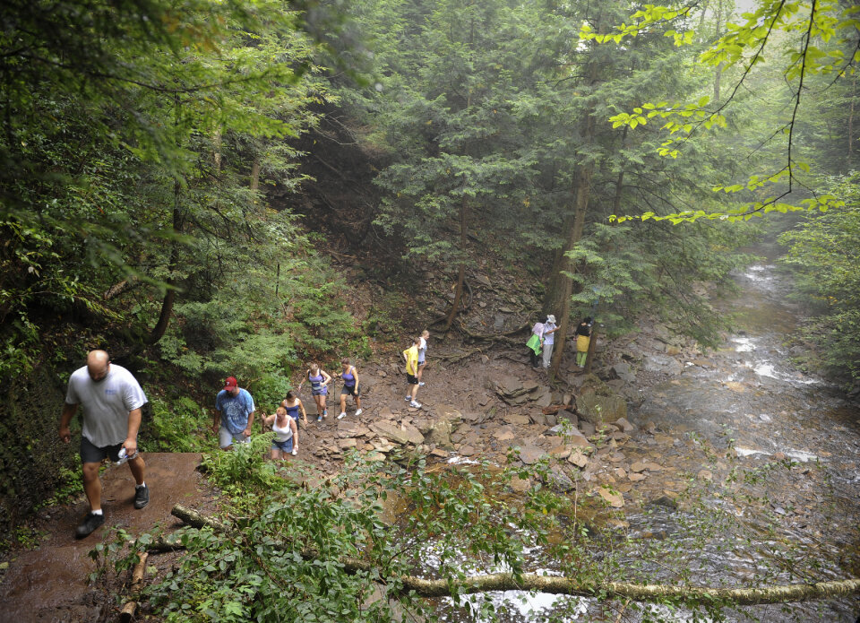 Ricketts Glen State Park - Benton, PA
