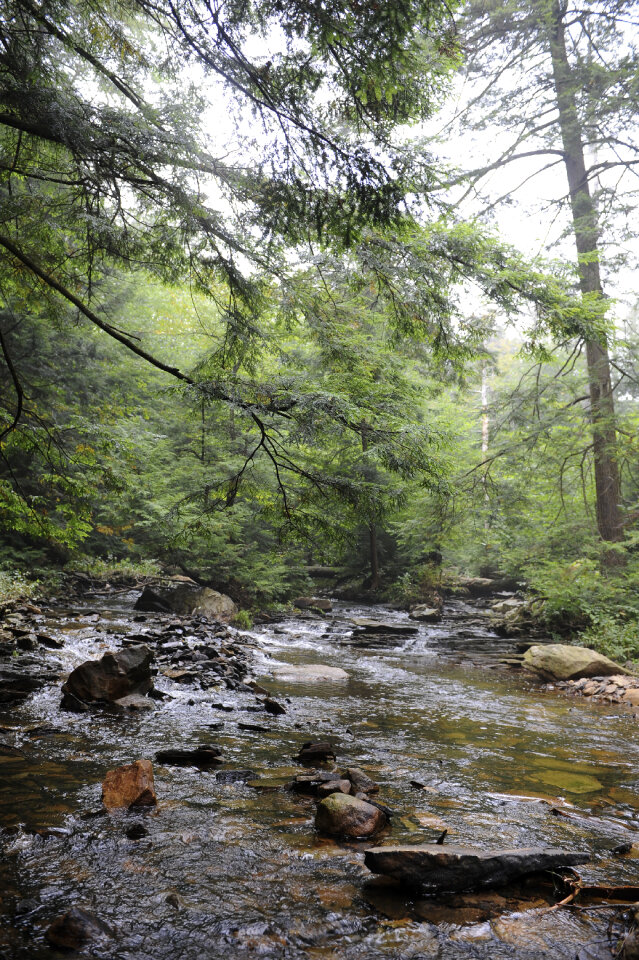 Ricketts Glen State Park - Benton, PA