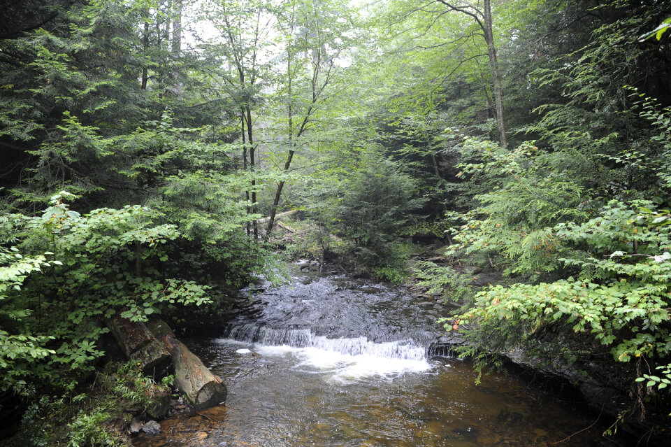 Ricketts Glen State Park - Benton, PA