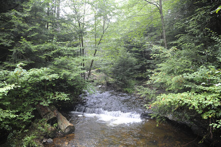Ricketts Glen State Park - Benton, PA