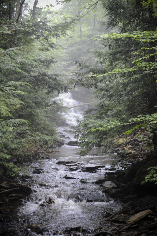 Ricketts Glen State Park