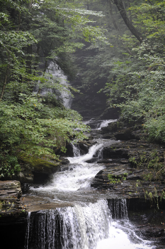 Ricketts Glen State Park